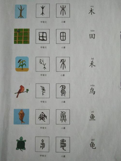 汉字的演变图片