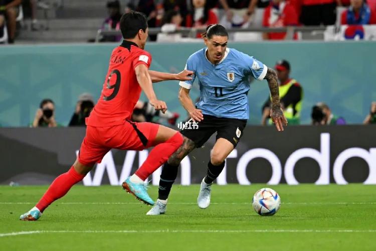 韩国vs乌拉圭比赛结果（乌拉圭会赢）
