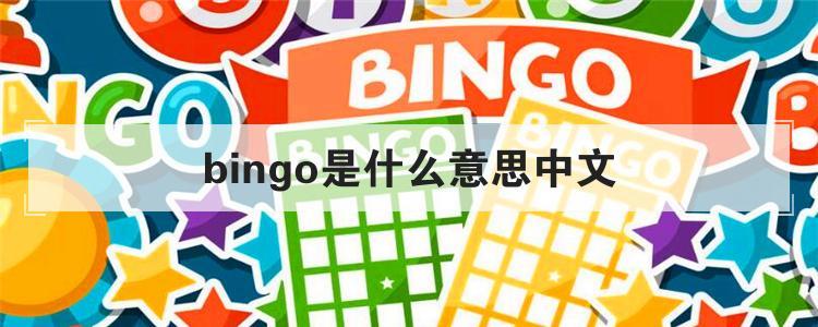 bingo什么意思